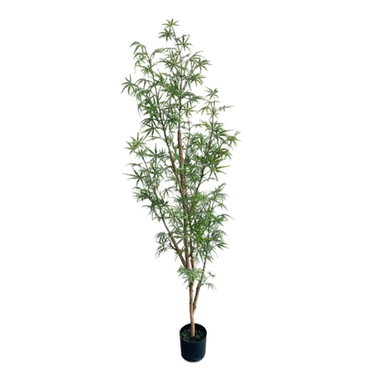 Real Touch 160cm High Dizygotheca Elegantissima Plant Tree Maceta Planta Artificial for Drawing Room Decor Arboles Trees
