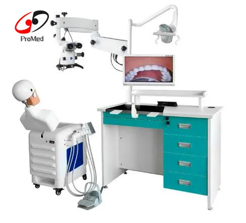 Electric oral training simulation manikin system (test desk optional)