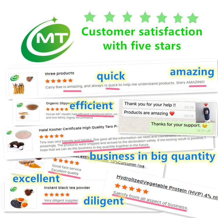 Green Superfood High Quality Brassica Oleracea Broccoli Juice Powder Broccoli Powder