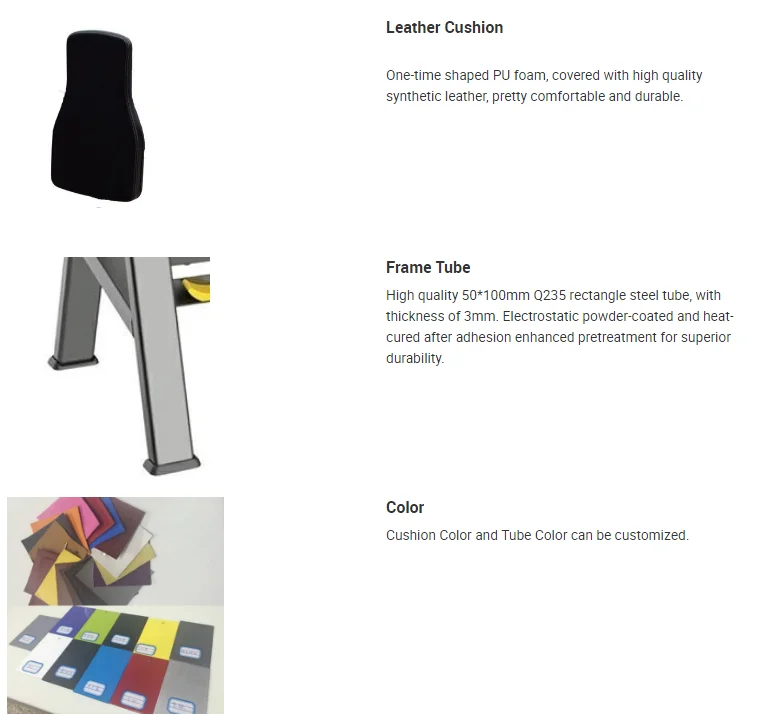 Hot sale Commercial strength machine fitness gym equipment Back Extension for gym center with best price in Chiha