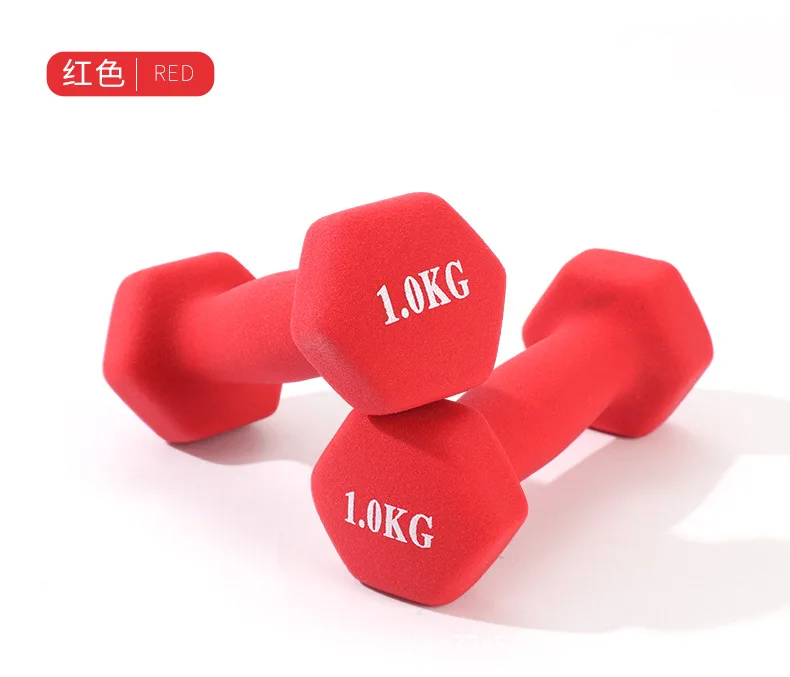 Dumbbell Ladies fitness home for men students children cast iron subbell equipment yoga exercise arm small dumbbells