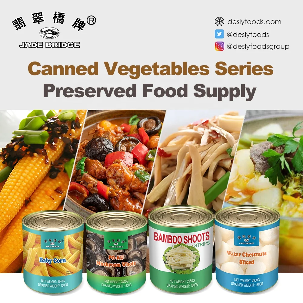 Canned Food Manufacturer Snacks Canned Vegetables Tomato Paste Bulk Wholesale 400 g Canned Tomato Ketchup with Factory Price