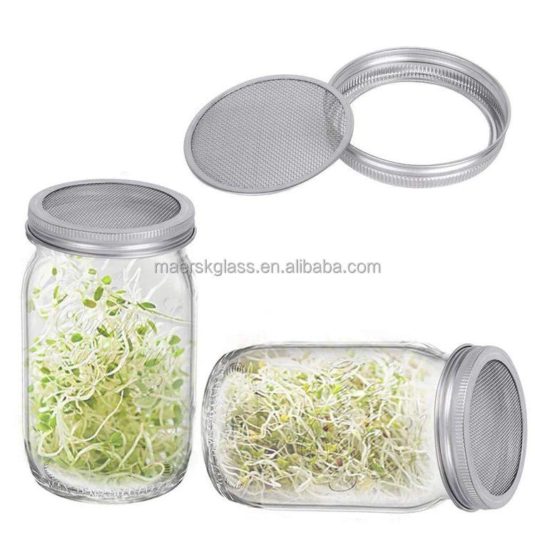 Wholesale Mason Jar Stainless Steel Seed Sprouting Glass Jar Kit 16oz Sprout Grow Your Own Beans
