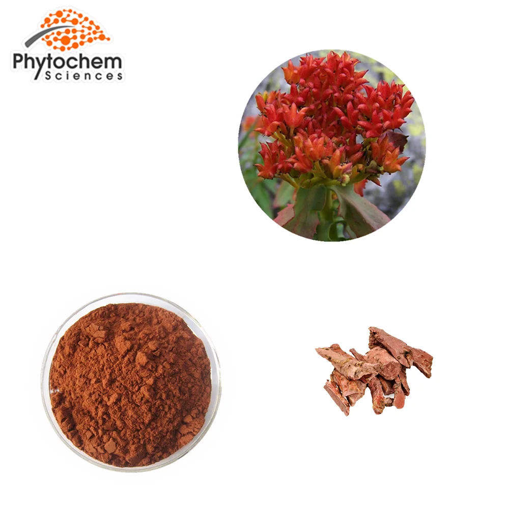 High Quality ISO Kosher Halal Organic Anti Aging Enhance Immunity Fatigue Resistance 20% Salidroside Rhodiola Crenulata Extract