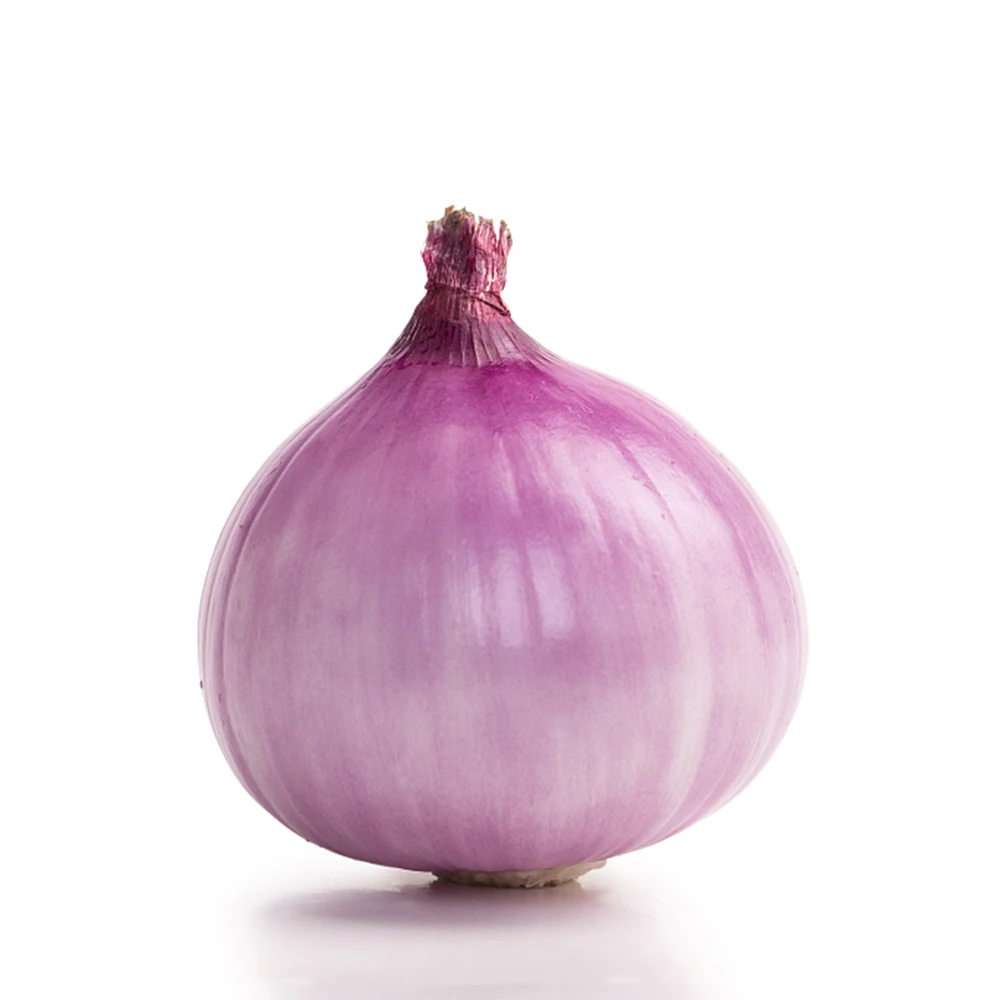 New crop Fresh Yellow Onion red onion export from china
