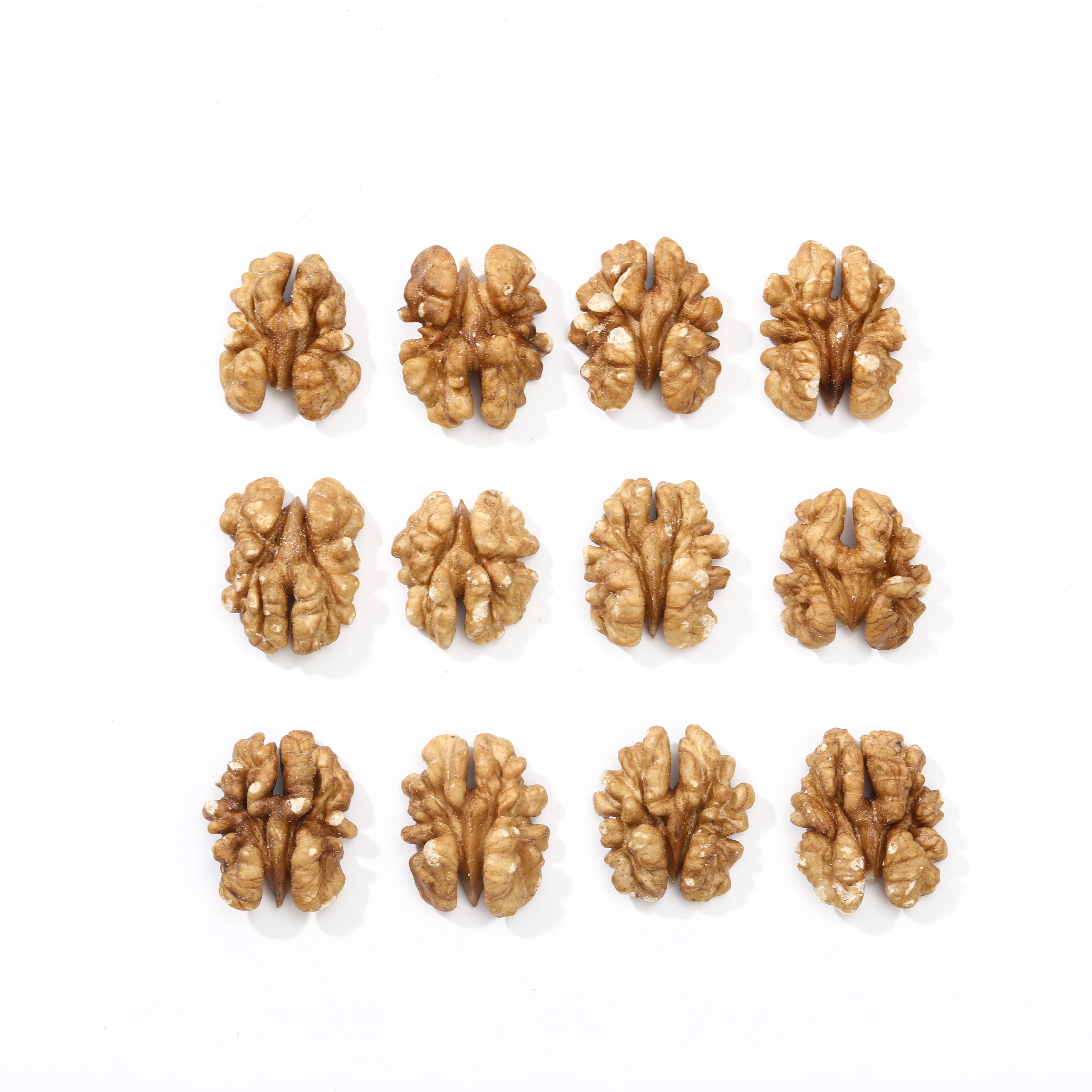 Xinjiang high quality 185 fresh shelled walnut whole walnut in shell