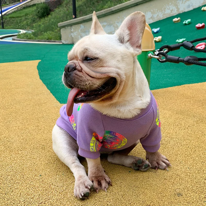 Small Dog Cat Cool Pet Clothing Cartoon Adult Top Dog Parent-child Clothing for Dogs Pet Apparel & Accessories Coats & Jackets