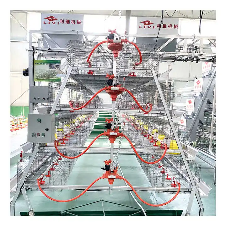 High Quality a Type Egg Laying Equipment Hen Poultry Farm Chicken Cages Egg Layer
