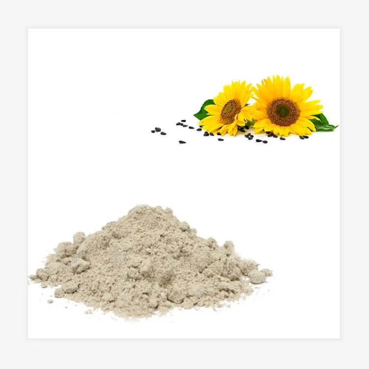 Large supply of food grade organic sunflower seed kernel powder