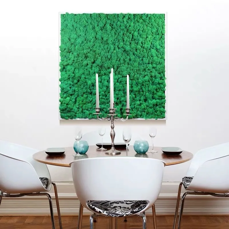 Yunnan Culinan Custom High Quality Lichene Stabilizzato Hotel Moss Decorative Green