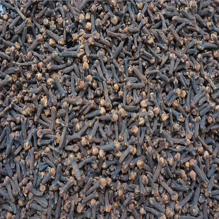 
wholesales Brown Reddish Clove dried clove price clove herb with high quality and competitive price 