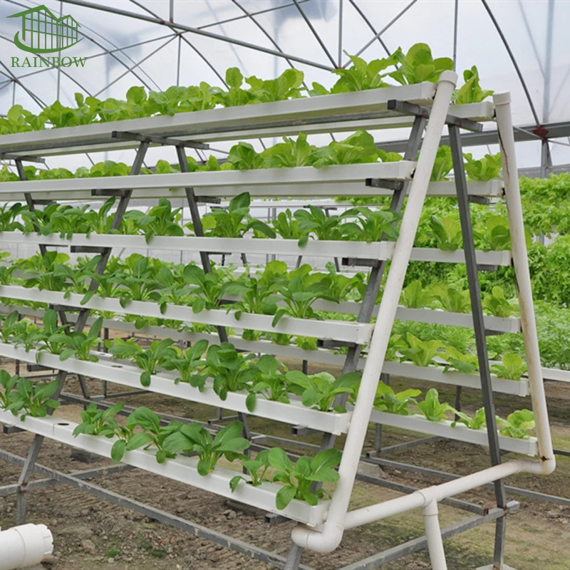 Agriculture NFT lettuce hydroponic growing systems Aeroponics  vertical for greenhouse farm