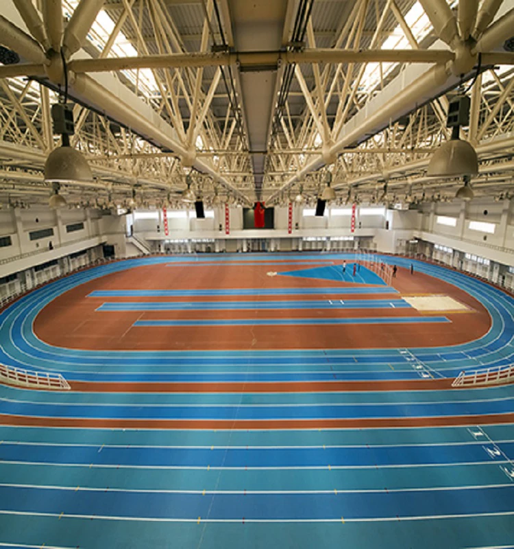 Prefabricated Rubber Running Track Roll  Mat Material for Stadium School Surface