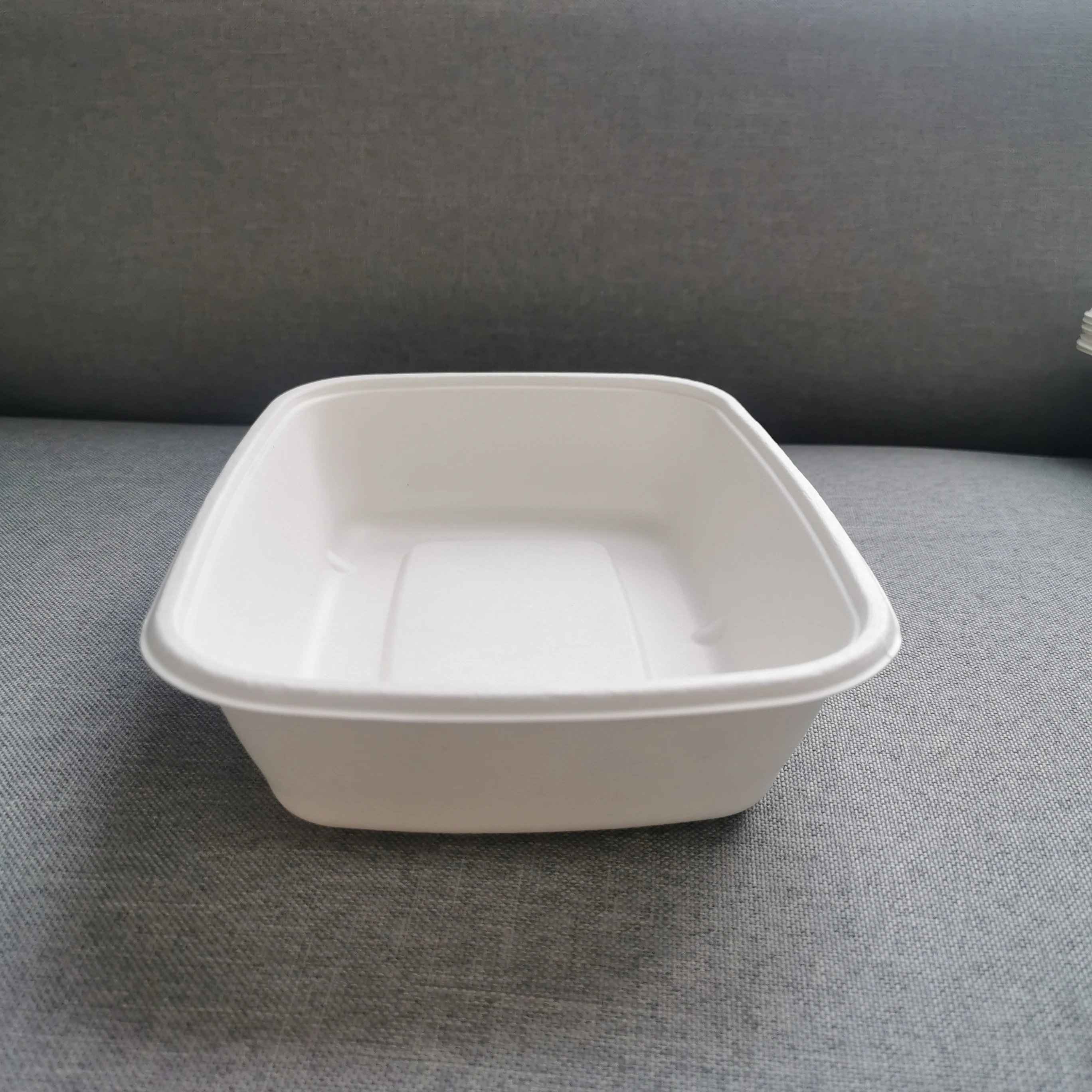 100%Biodegradable Sugarcane Bagasse Disposable Takeaway 8'*6' Food Tray With Lid