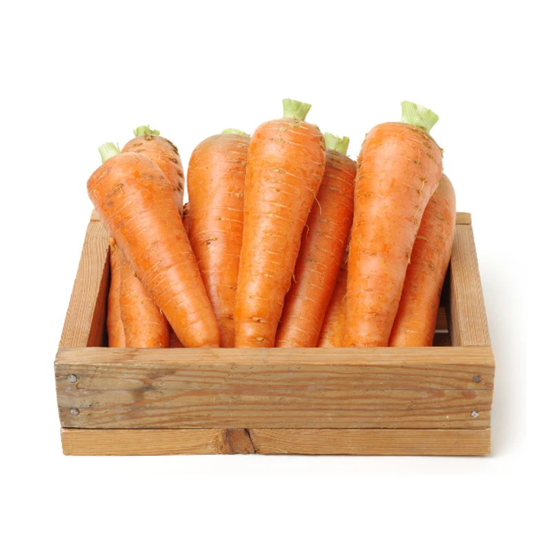 New Crop Fresh Organic Vegetables Wholesale Carot/carrot Seeds Price Of Carrots In Bulk For Export In China