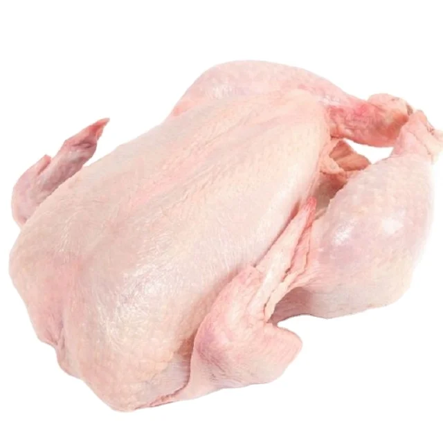 Halal Frozen Whole Chicken For Sale in dubai Frozen Chicken Feet Chicken Paws for Sale Bulk Poland