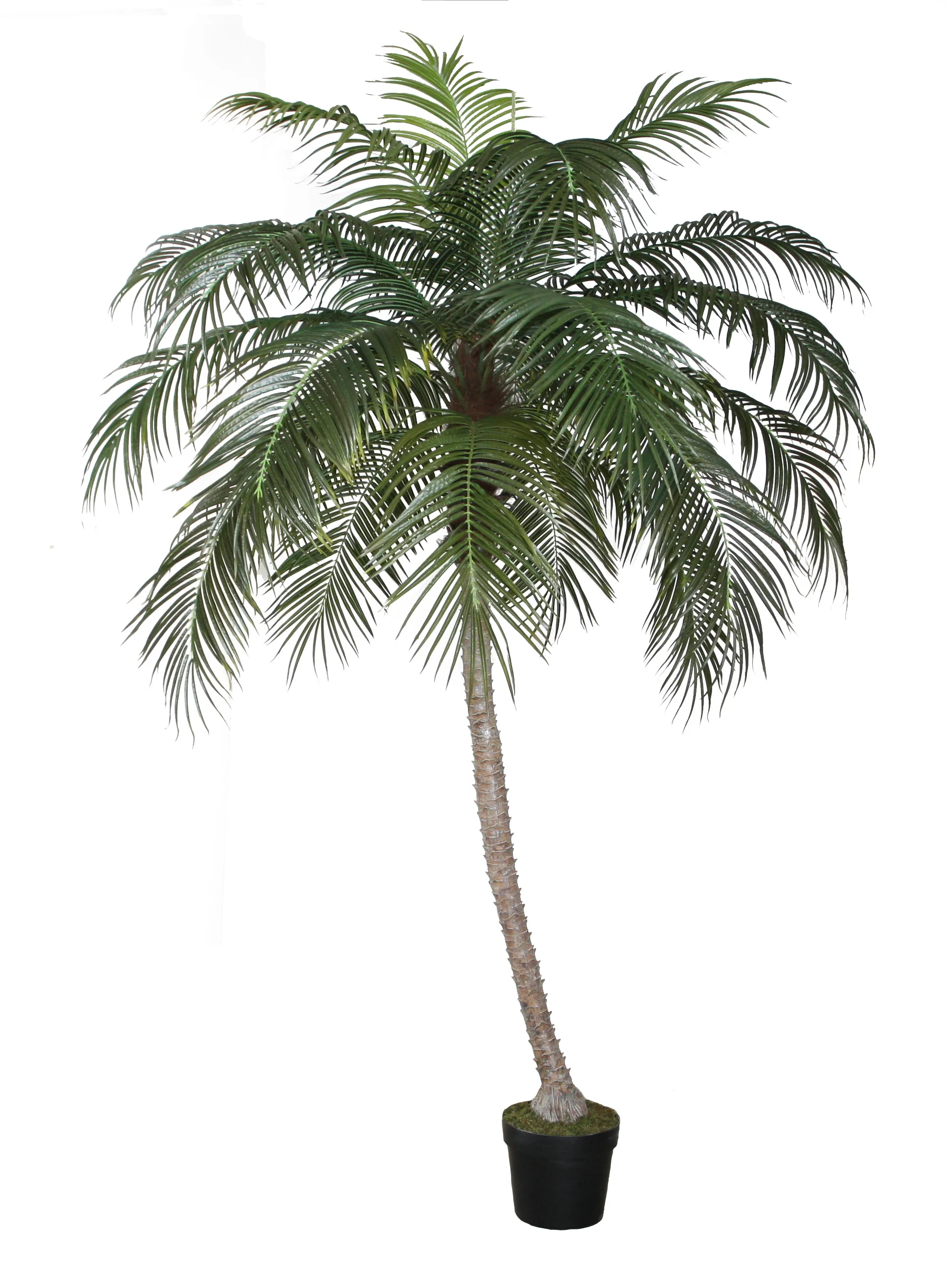High quality outdoor decoration  artificial  phoenix kwai  palm tree with coconut  tall artificial plant potted