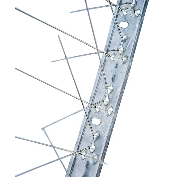 High Quality Stainless Steel  Durable Bird Spikes For Bird Control In Outdoor