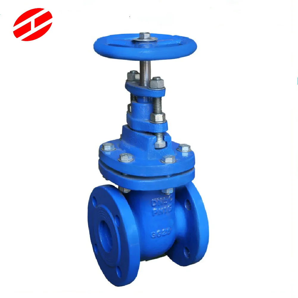 NRS Ductile Iron Gate Valve