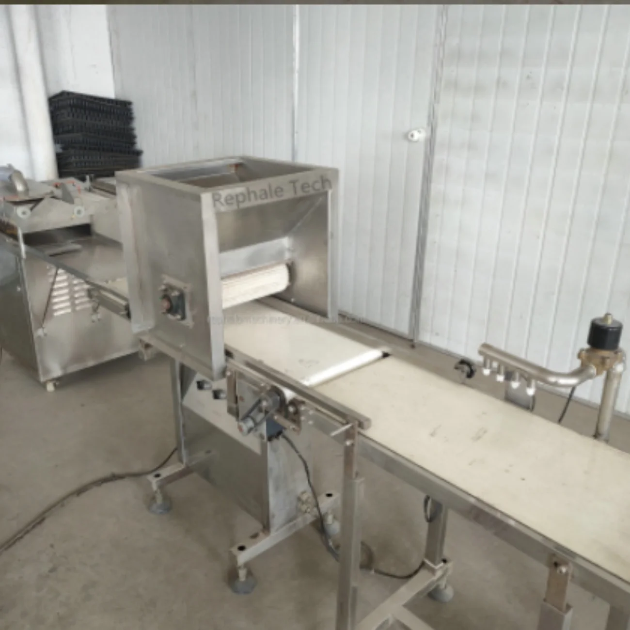 Tomato seeds tray seeding machine from Zhengzhou Rephale, China.