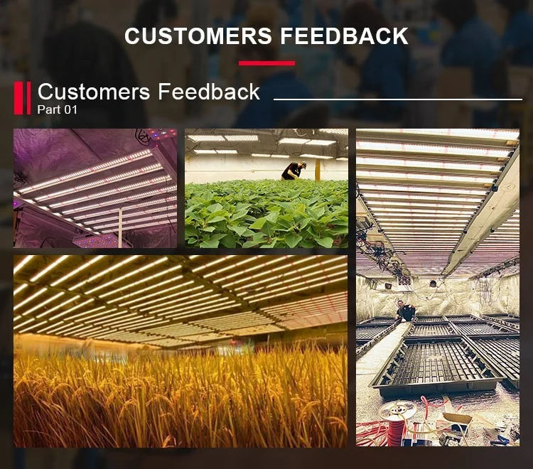 Meiju 2021 A8 720w 645w Hydroponic Grow Light Full Spect Led Grow Light Strip Fixture Horticulture Samsung Grow Light High PPFD