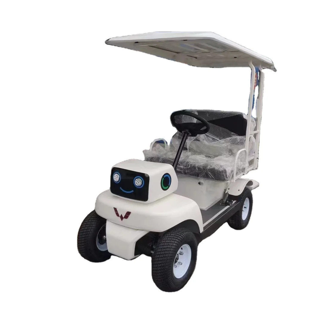 Electric Cart Electric Hot Sale good prices 2 Person Electric Mini Golf Cart cheap golf cart