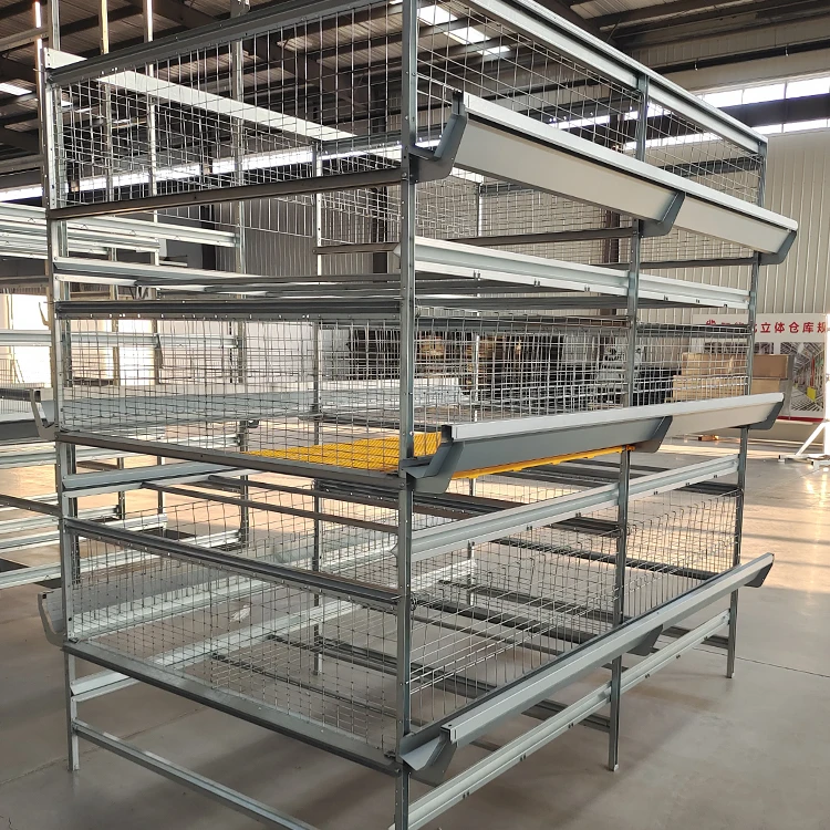 Modern Poultry Farm Equipment H Type Baby Chicks Feed House Automatic Battery Broiler Chicken Cage System For 50000 Birds