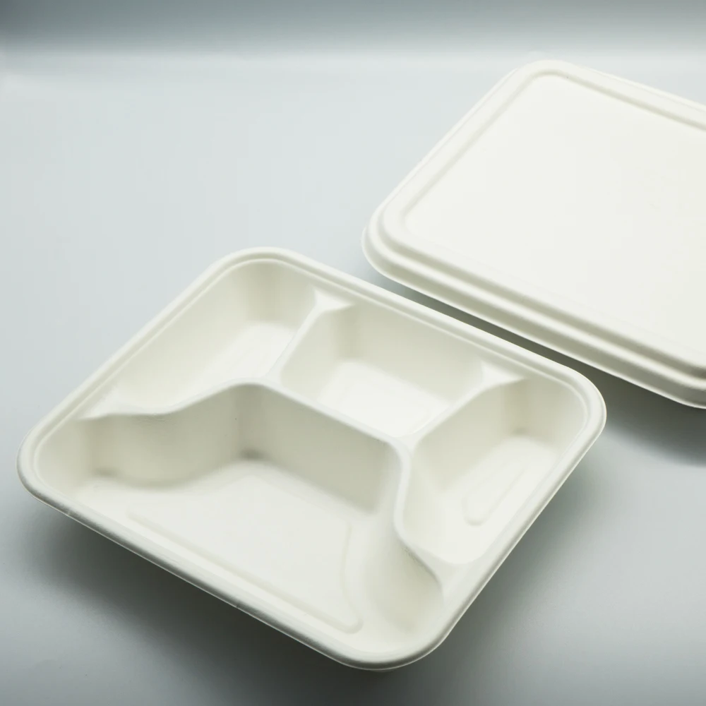 Compostable large disposable sugarcane pulp container packaging bagasse tableware lunch food bento box tray with removable lid