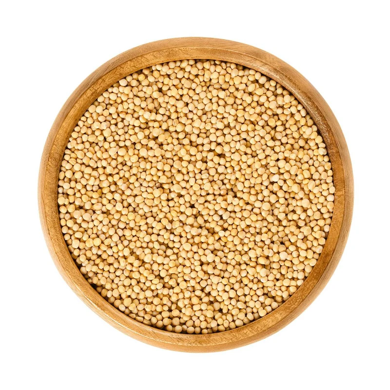 Wholesale Price Single Spices & Herbs Hot Selling 100% Natural Organic Dry Whole Yellow Rai Mustard Seeds