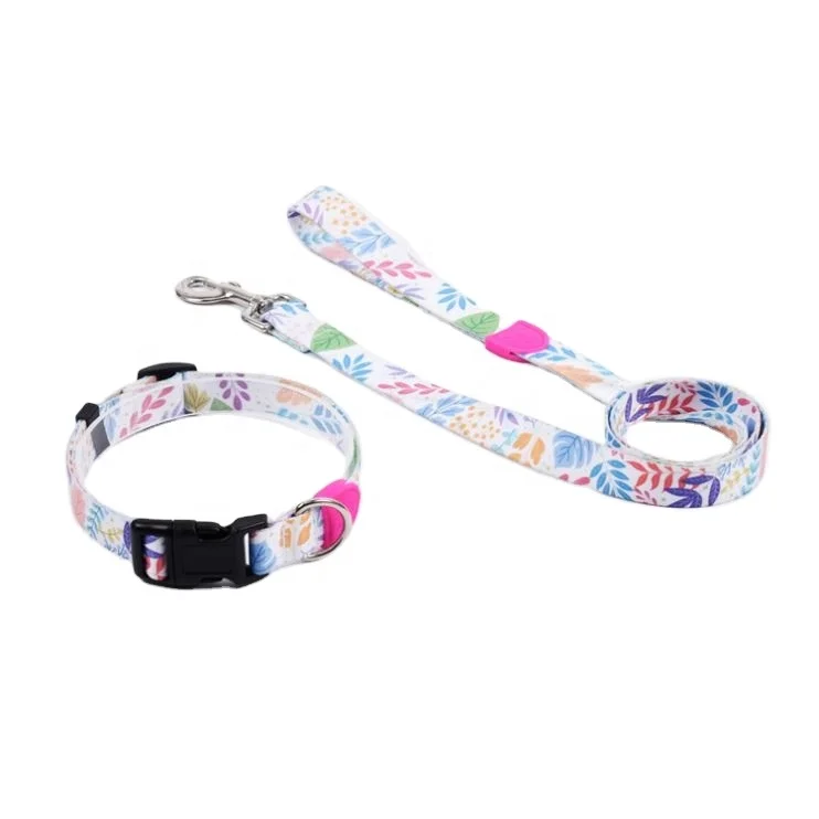 
High quality hot selling pet products PVC dog collar and leash set 