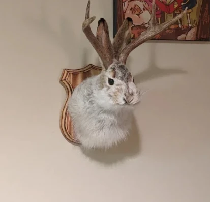 Antlers Rabbit Head Statue Home Decoration 3D Abstract Sculpture Wall Hang Decor Animal Statues Living Room Mural Art Craft