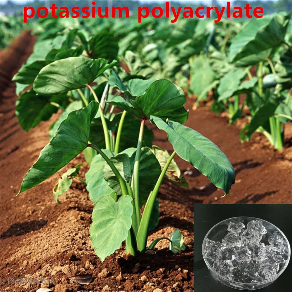 Manufacturer Supply Super Absorbent Polymer Potassium Polyacrylate Sodium Polyacrylate For Improving Moisture Situation