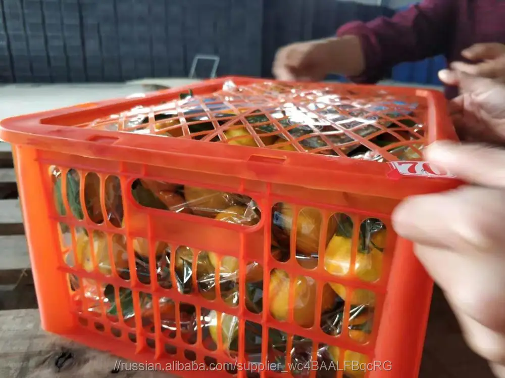fresh mandarins oranges