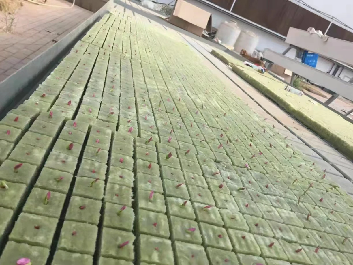 Wholesale Factory Direct Price 4 Inch Grow Block Rock Wool Hydroponic