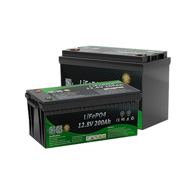 12V Lithium Iron Phosphate Battery Pack Deep Cycle 12v 50ah 100ah 200ah 300ah Solar Lifepo4 Batteries Ev