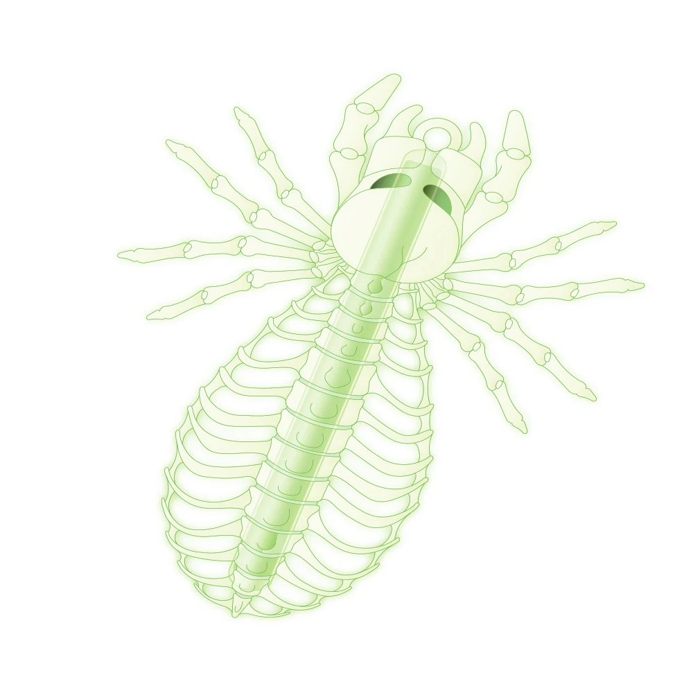 
PCA branded glow stick 6 party glow stick glow in dark for event decoration 