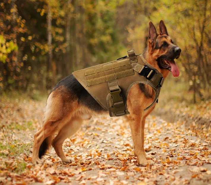 High Quality Nylon Pet Vest Outdoor Training Quick Disassembly Tactical Dog Suit