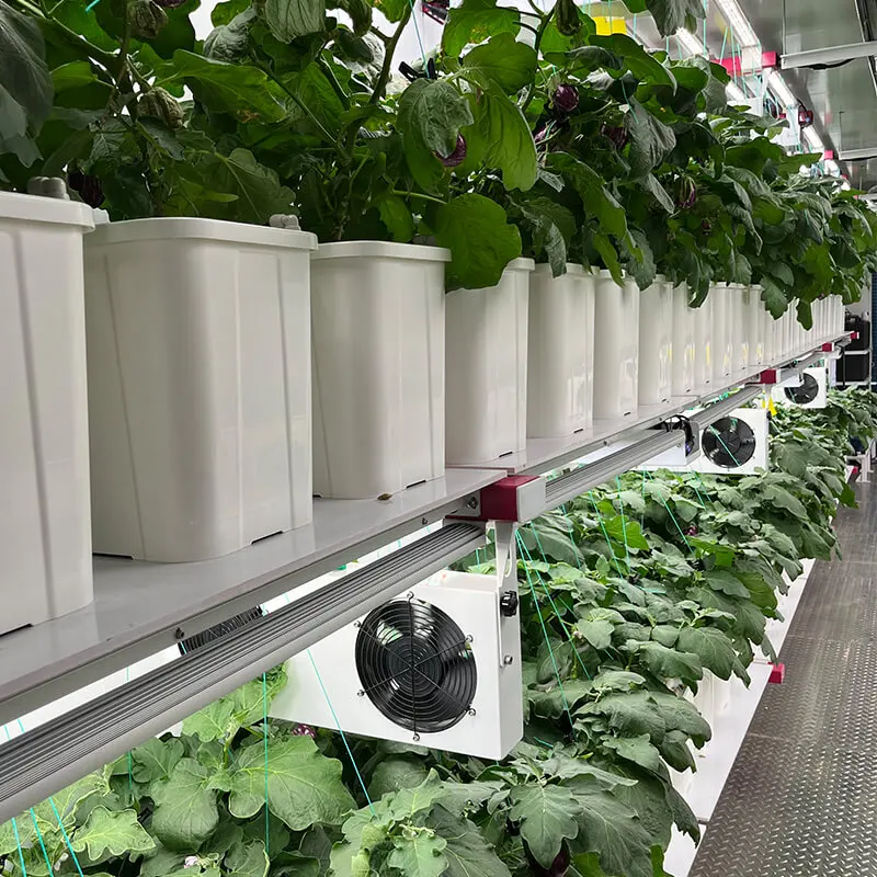 container solution indoor climate control farming solution
