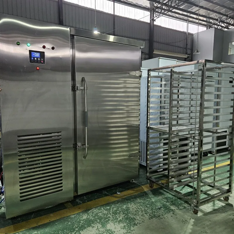 Single Temperature 200Kg/H Customized Iqf Tunnel Freezer/Industrial Iqf Blast Freezer For Fish/Shrimp/Seafood With CE