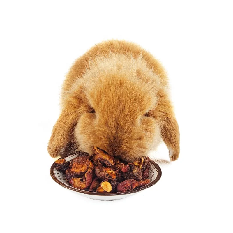 Real Fruit for Birds and Small Animals food - Rabbits.dehydrating machine fruit drying vegetable guinea pig food