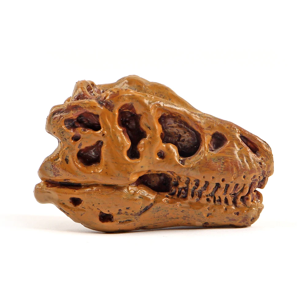 High Quality 3D Stem Toys Educational gifts discover Dinosaur Skull Skeleton Fossil
