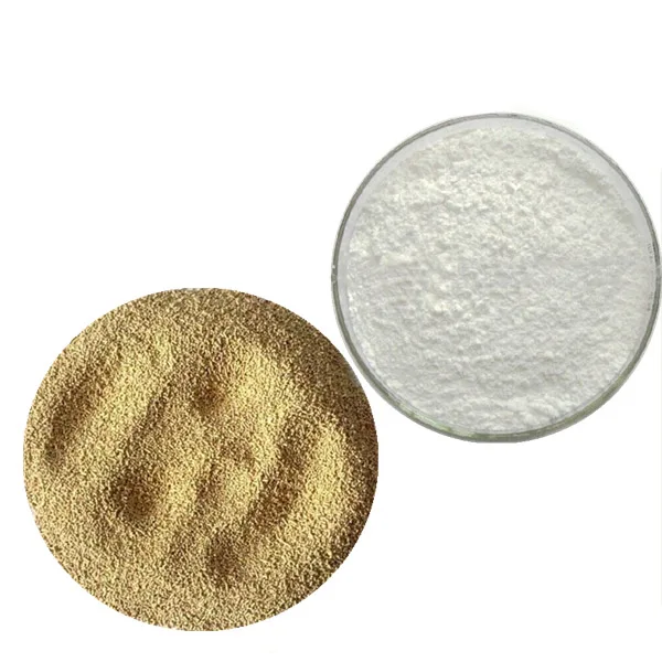 
China factory nutritional yeast flakes health supplement functional yeast extract 