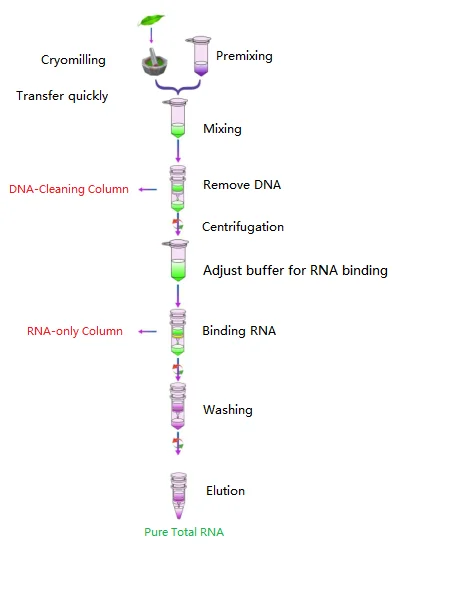 plant total RNA-.png