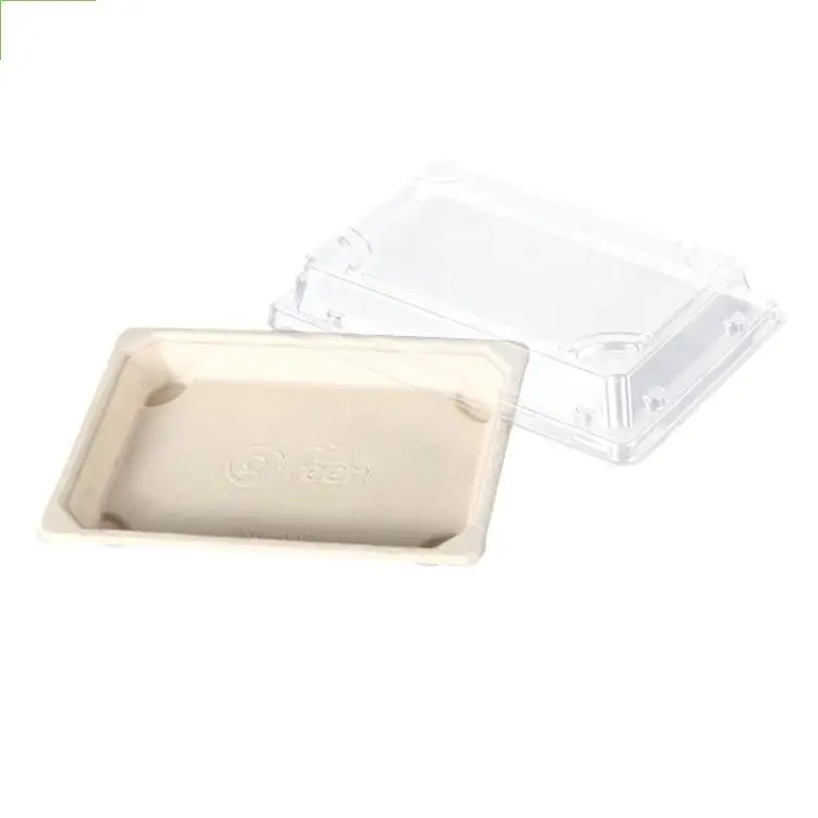 Biodegradable Sugarcane Bagasse Sushi Container Disposable Pulp Products Food Packaging Box With Anti Fog PET Lid