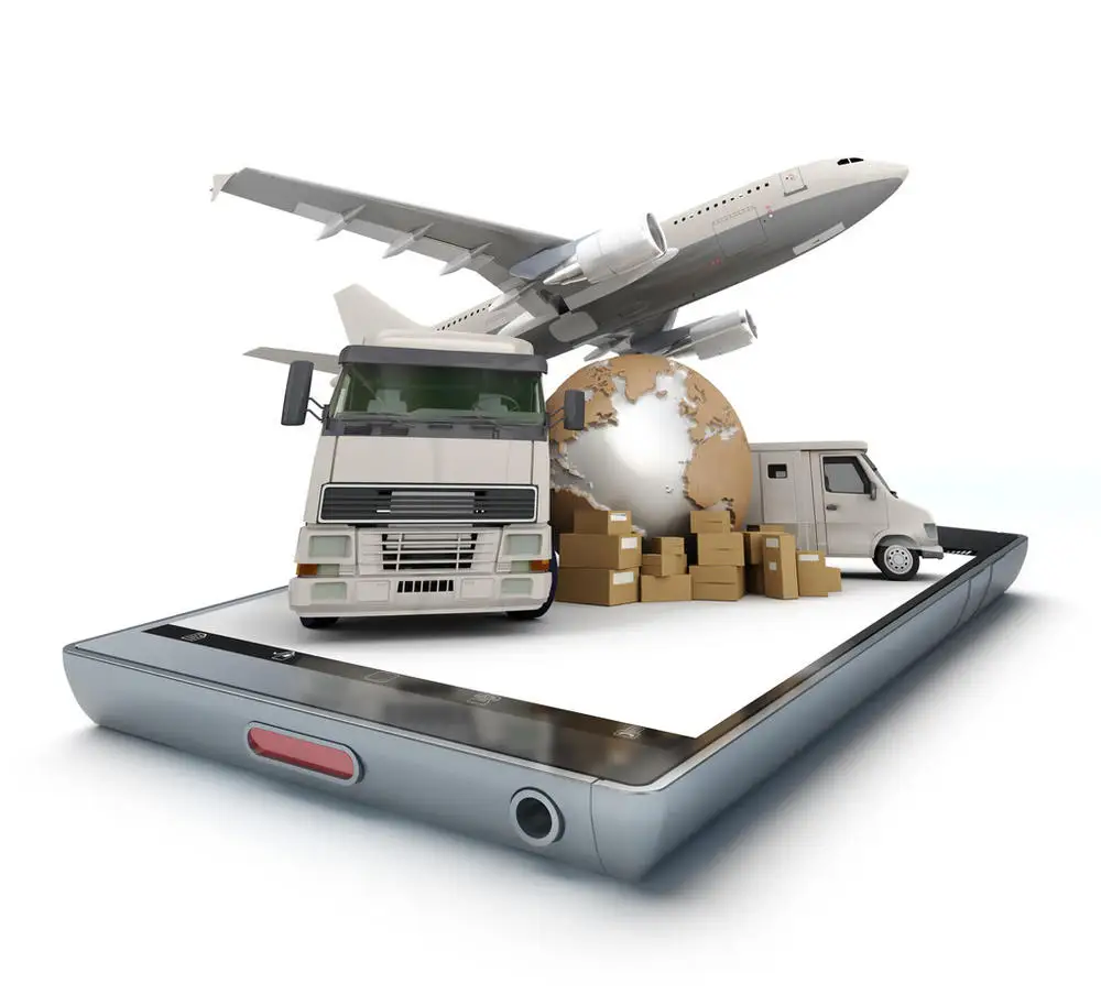 China Customs Clearance Service Customs Declaration In USA & Singapore