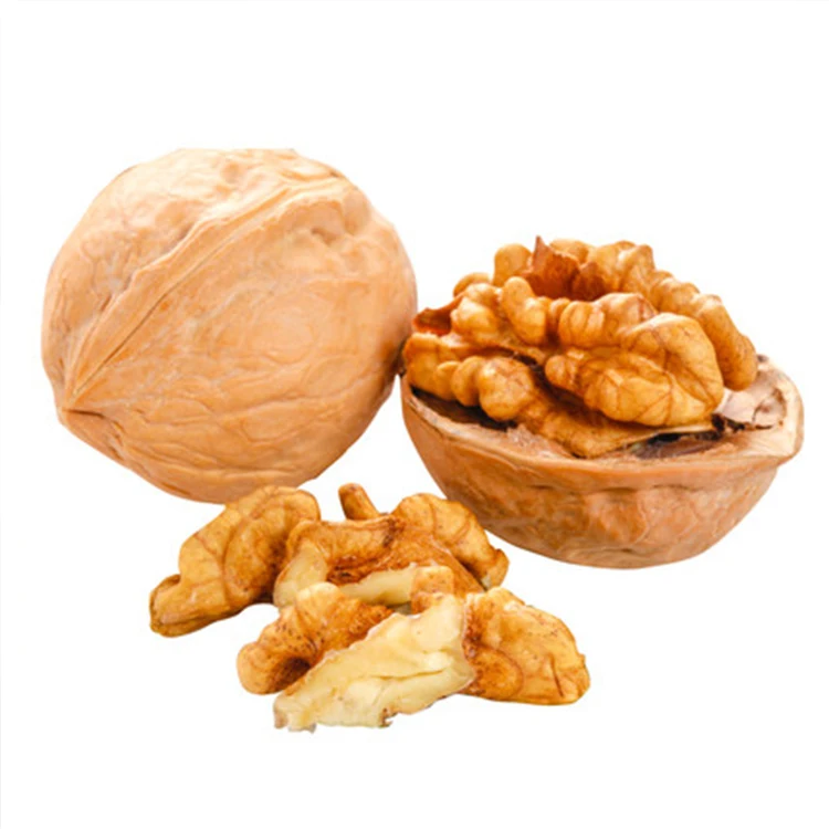 Маленький орех в Ракушке китайский маленький орех