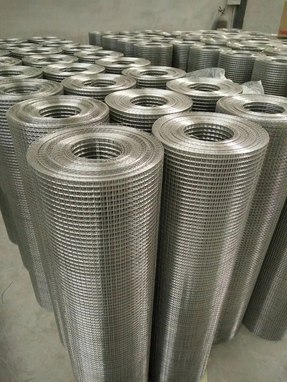 10 gauge pvc coated / galvanized bird cage welded wire mesh roll