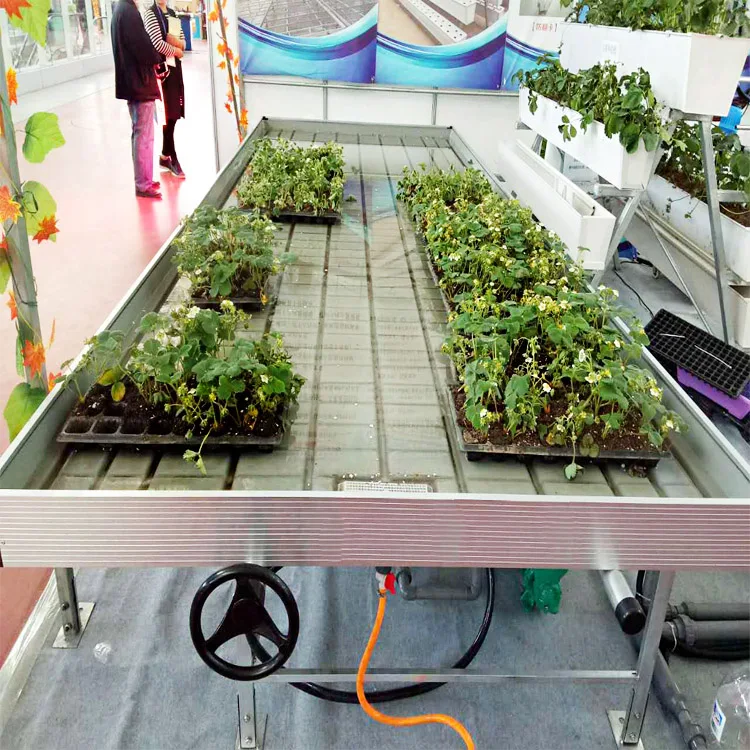 Hot Sale 4*8ft Hydro farm Ebb and Flow Package with Rolling grow trays System