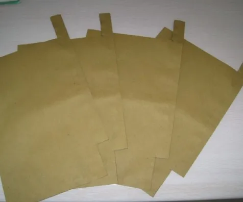 waterproof fruit cover bag mango growing paper bag