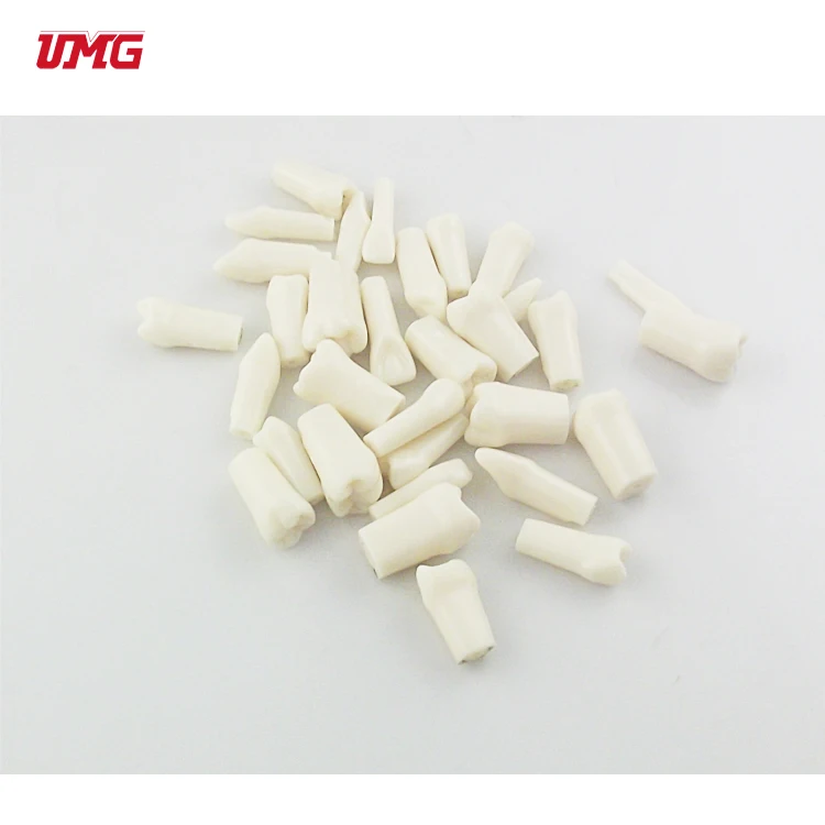 32 шт. 1: 1 один Taproot постоянные зубы зерна планшетов зубьями моделирования модель зубной полости